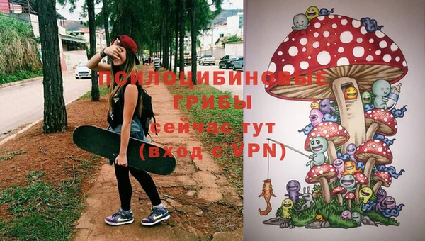 мефедрон Медногорск