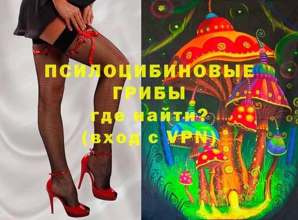 ПСИЛОЦИБИНОВЫЕ ГРИБЫ Армянск