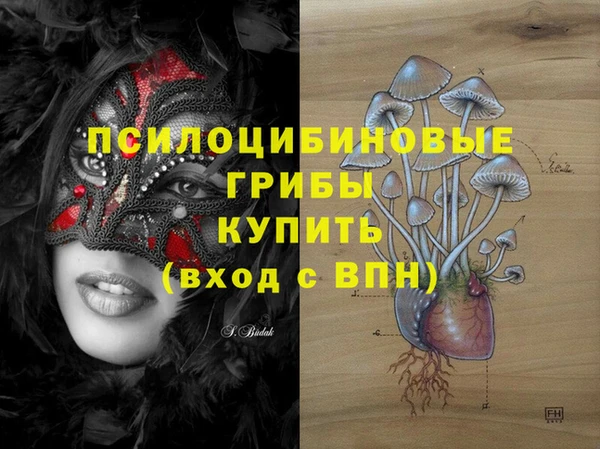 мефедрон Медногорск