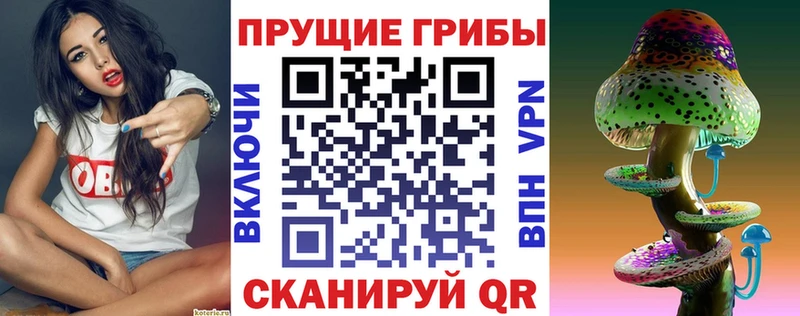 Галлюциногенные грибы Cubensis  Сураж 